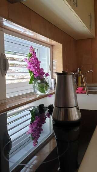 Виллы Villa Rose Херцег-Нови Вилла с видом на море-50